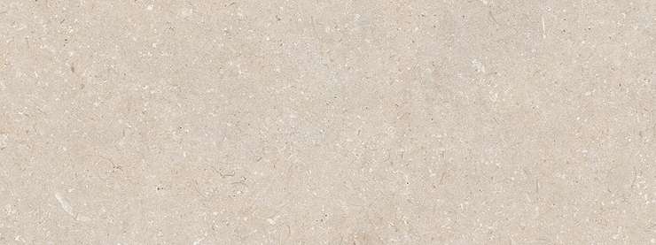 Порселаноза Coral Caliza 45х120 G-270