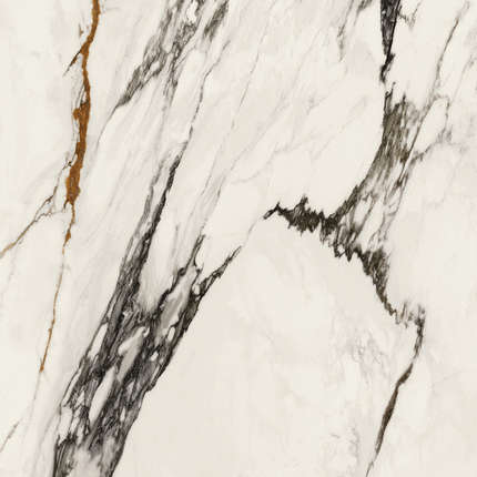 Porcelanosa Paonazzo Biondo Polished 120х120