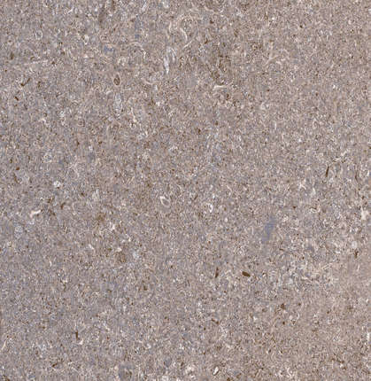 Примавера Алькон Серый 45x45