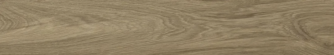 Taupe 20x120 (1200x200)