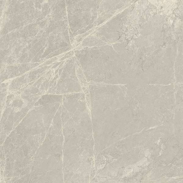 Light Grey 60x60 (600x600)