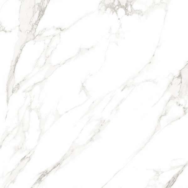 White Polished 60x60 (600x600)