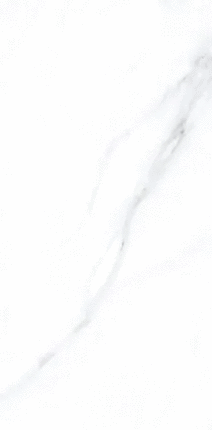 Примавера Palido Grey Lapato Carving 60x120