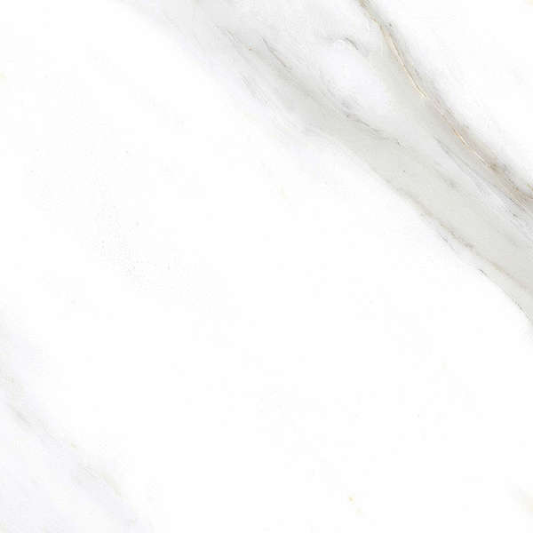 White Polished 60x60 (600x600)