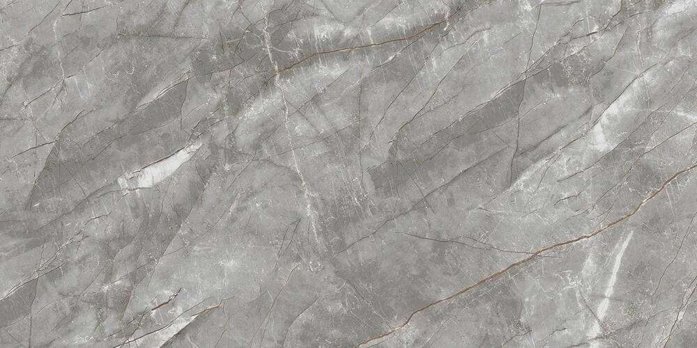 Grey Polished 60x120 (1200x600)