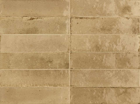 Beige Glossy (240x60)