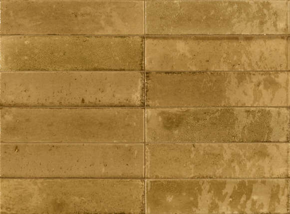 Рагно Look Ocra Glossy