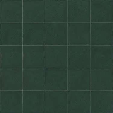 Рагно Sol Verde