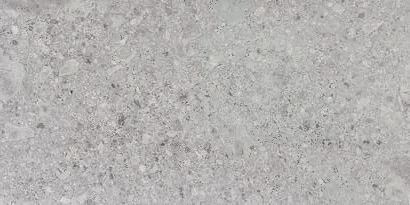 Stone Light Grey Matte Structure 60x120 (1200x600)