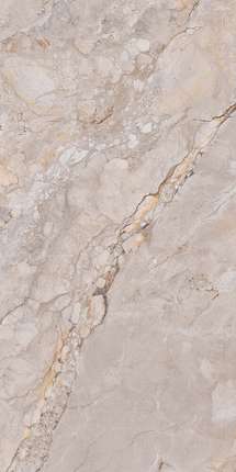 Реалистик Amazon Grande Shapetouch 60х120