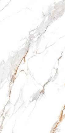 Реалистик Delhi Polished Gold Carving 60x120