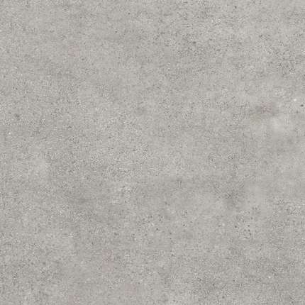 Реалистик Fiji Silver (9103) Matt 60х60