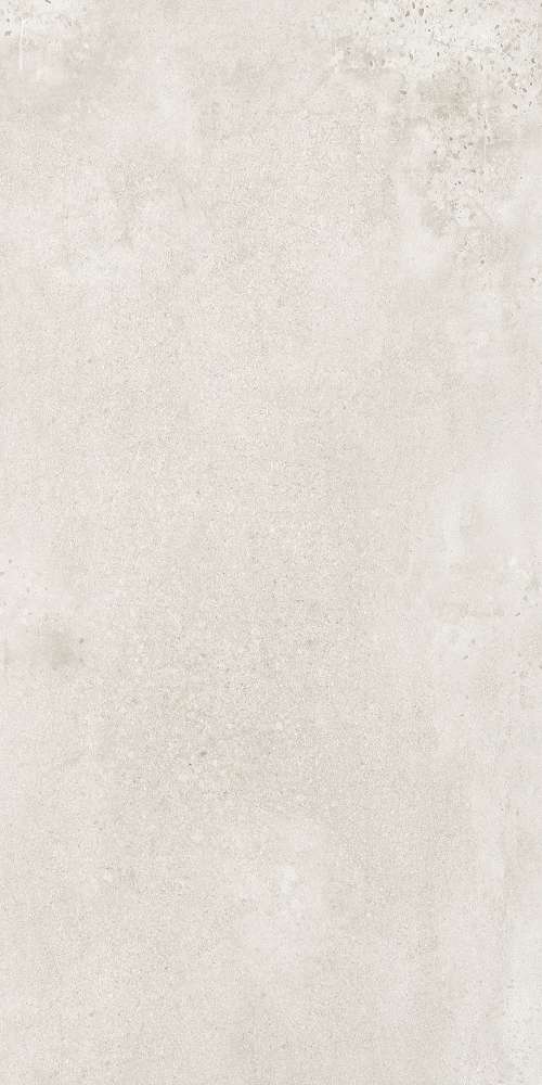 White (9100) Matt 60х120 (600x1200)