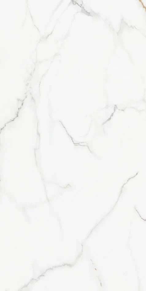 Silky Matt 60x120 (600x1200)