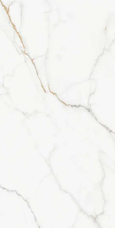 Silky Matt 60x120 (600x1200)