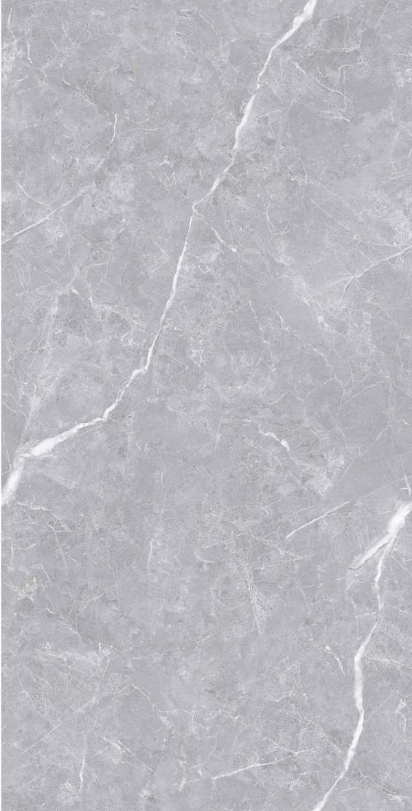 Polished Silver Carving 60x120 (600x1200)