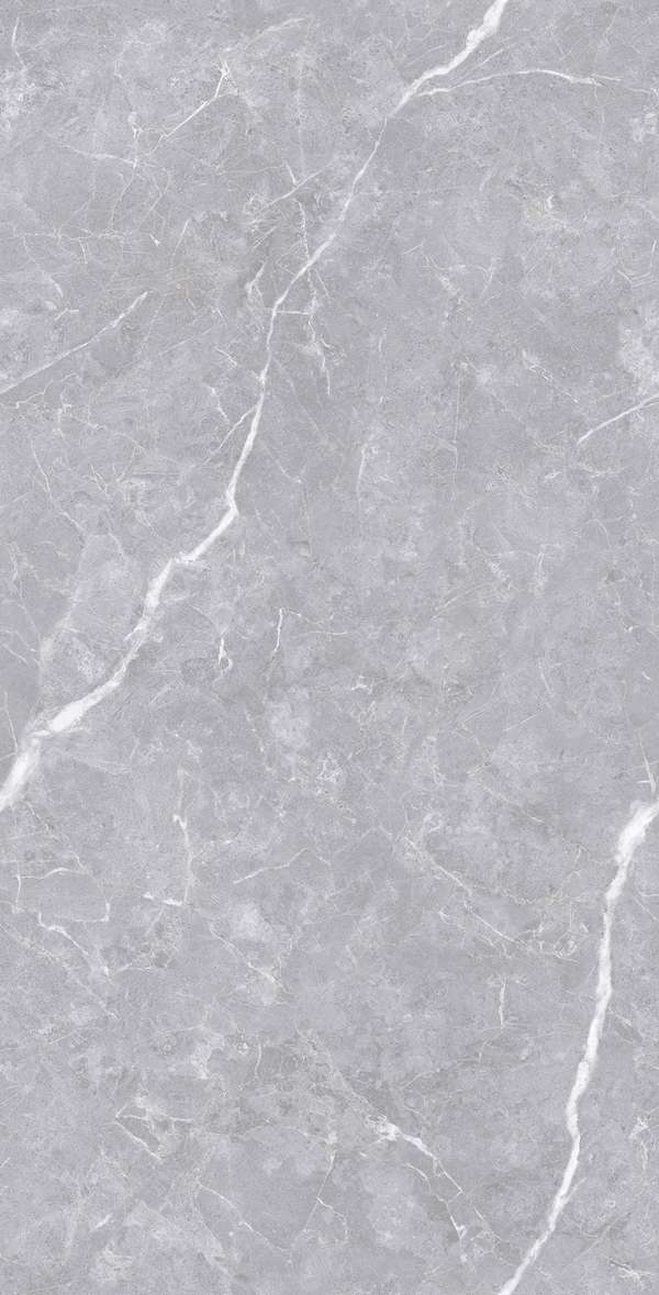 Polished Silver Carving 60x120 (600x1200)