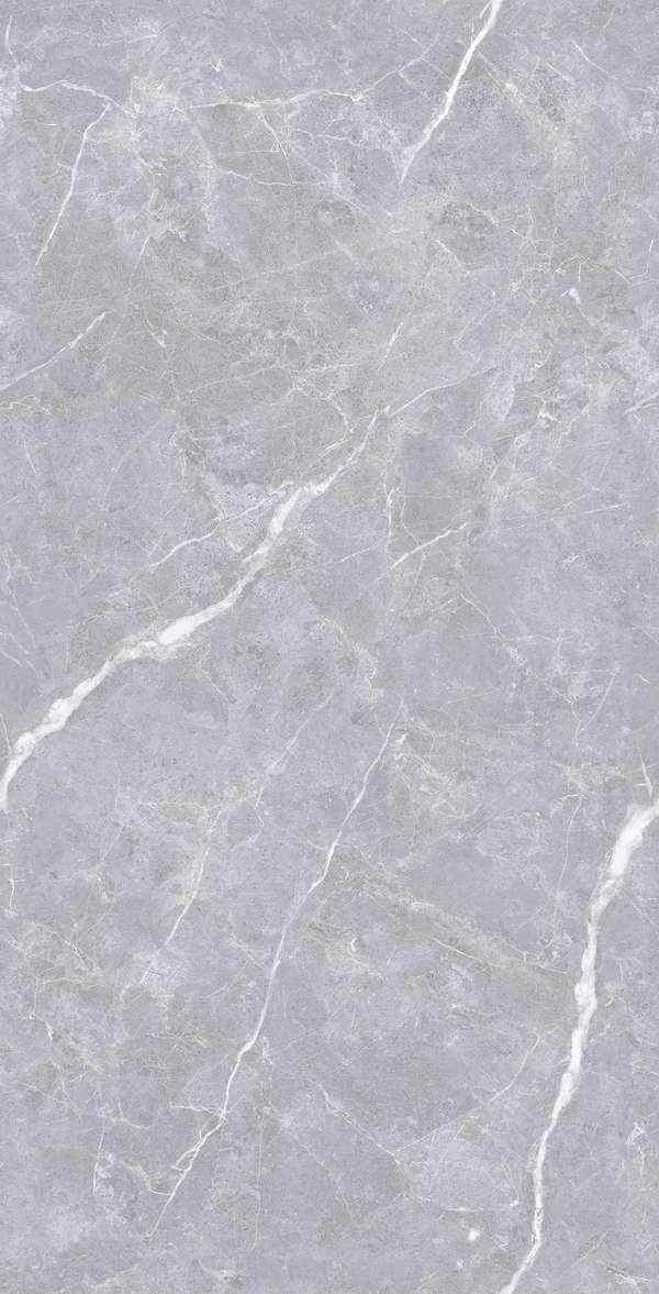 Polished Silver Carving 60x120 (600x1200)