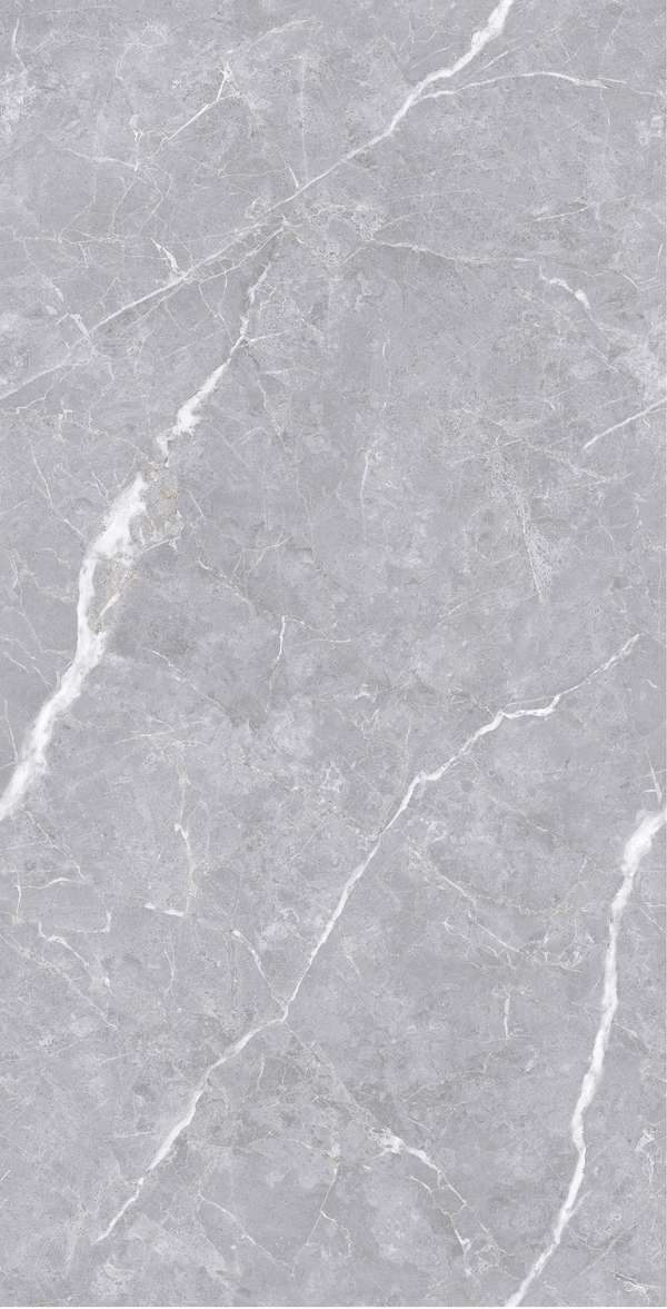 Polished Silver Carving 60x120 (600x1200)