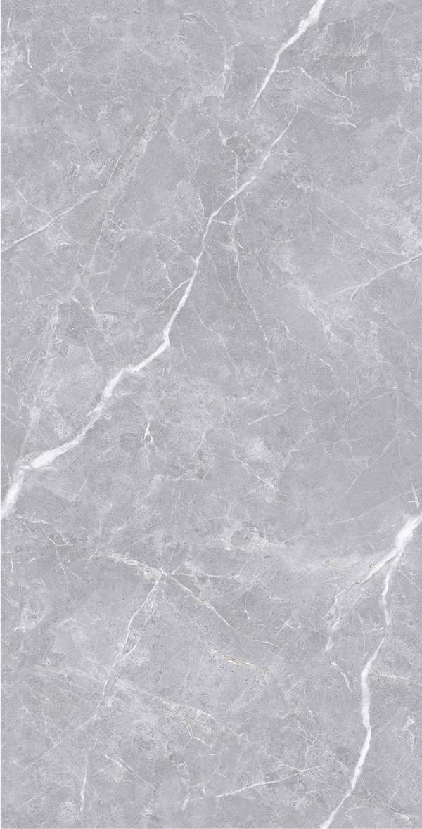 Polished Silver Carving 60x120 (600x1200)