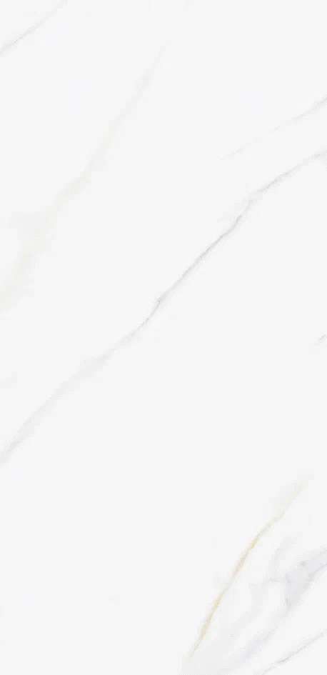 Silky Matt 60x120 (600x1200)