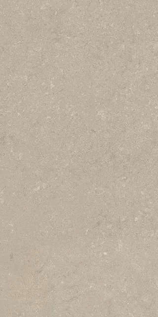 Stone Chablis Matte Leather 60x120 (600x1200)