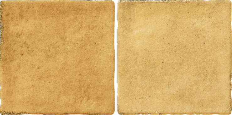 Рибесаблес Bright Sanape 10x20