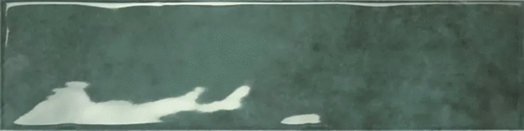 Рибесаблес Earth Amazon Gloss 7.5x30