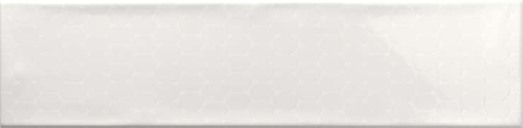 Рибесаблес Ocean Decor White