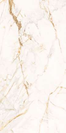 Роберто Кавалли The Wild Spirit Calacatta Oro Lx Rt 59.6x119.2