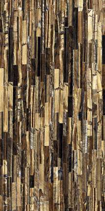 Роберто Кавалли The Wild Spirit Tiger Gold Lx Rt 59.6x119.2