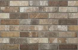 Multicolor Brick (250x60)