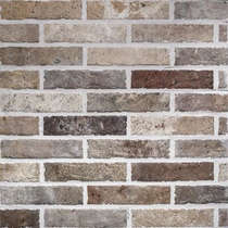 Multicolor Brick (250x60)