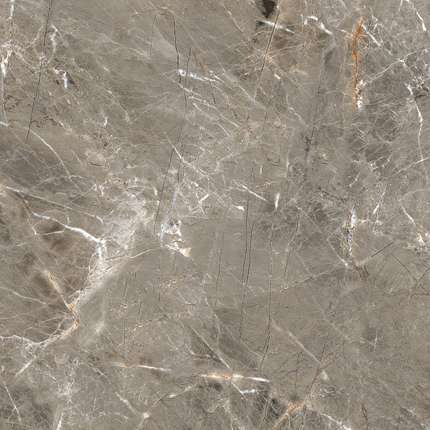 Royce Olympia Grey Polished 60x60