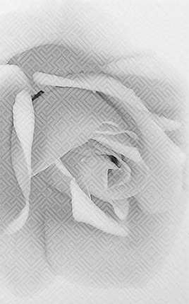 Шахтинская плитка Камелия Чёрно-белый 02