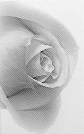 Шахтинская плитка Камелия Чёрно-белый 01