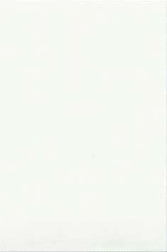 Шахтинская плитка Белая Белая матовая 20х30