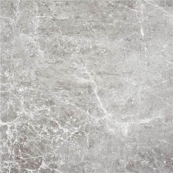 Gray 60 (600x600)