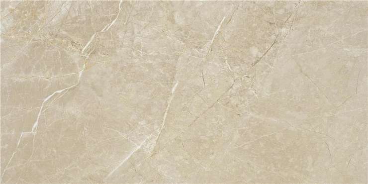 Стн Керамика Syrah Ivory Mt Rect 60x120