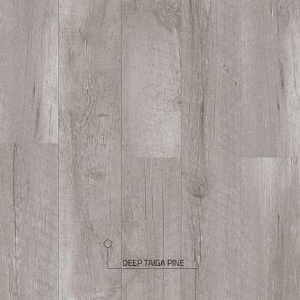 Salag Salag SPC YA0007 Сосна Таёжная тёмная