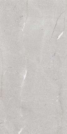 Серон Vicenza Silver (Shapetouch) 60x120