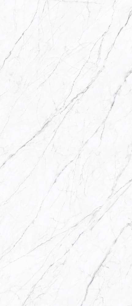 Carrara Twig 120х278х6 (1200x2780)