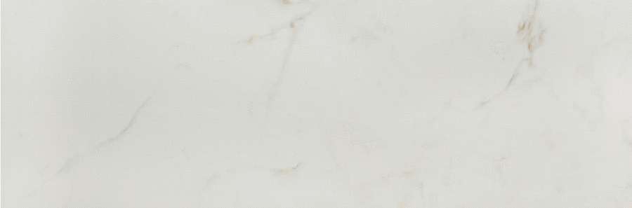 1210 White (900x300)