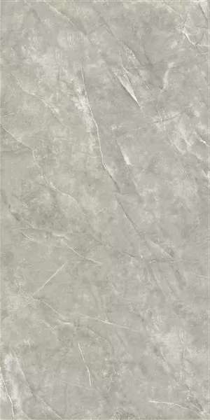 Grey Polish 2666 (600x1200)