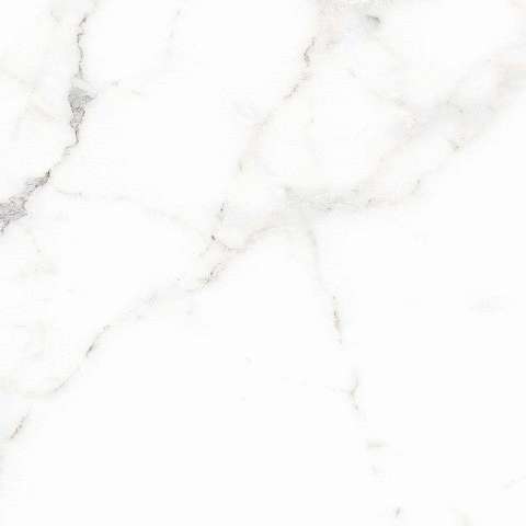 Calacatta M White (600x600)