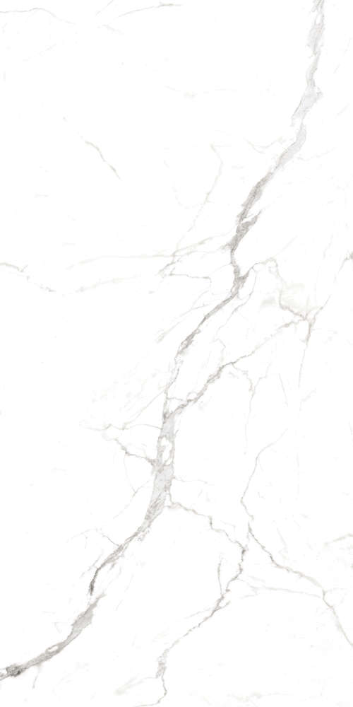 Regal Carrara White Матовый Карвинг (800x1600)