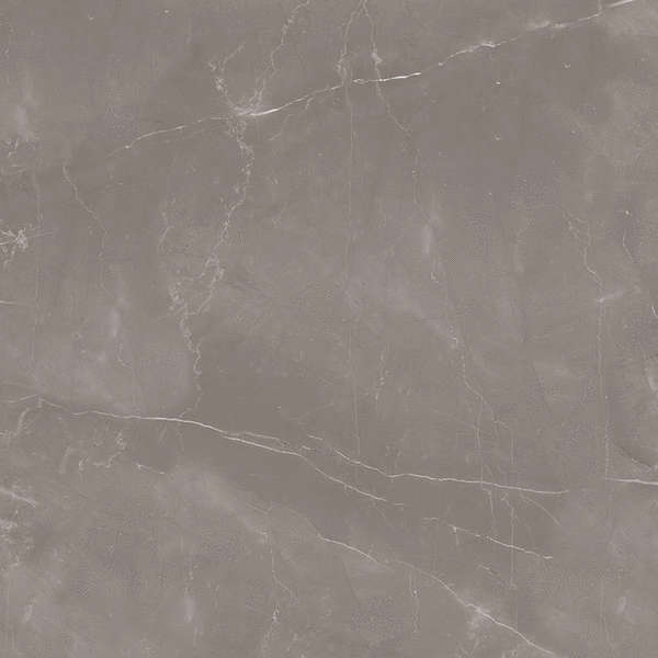 Armani Gris 60x60 Polished (600x600)