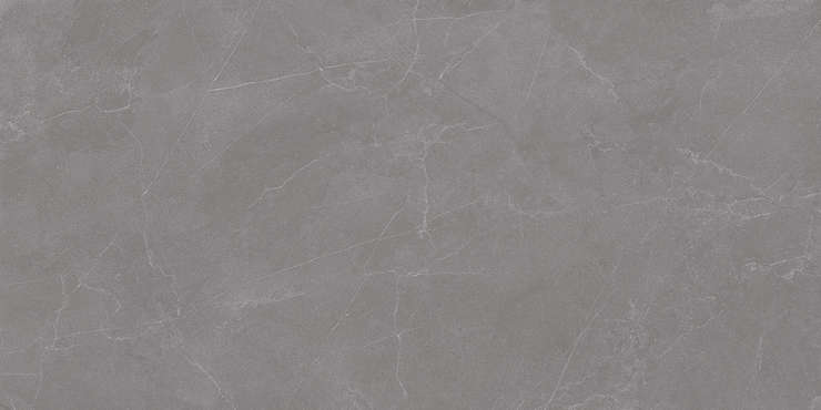 Старо Rizzi Valencia Grey 60x120 Matt