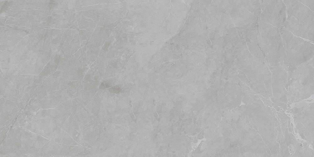 Marbles Barcelona Light Grey 60x120 5мм Matt (1200x600)