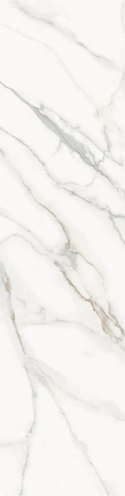 Calacatta Supreme Honed 800х3200х12 (800x3200)